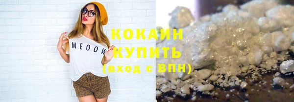 дмт Мегион