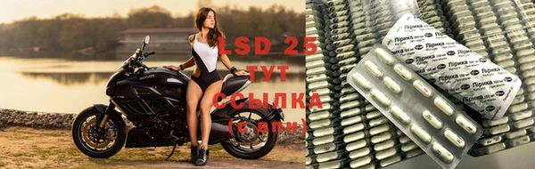 прущие крисы Медвежьегорск