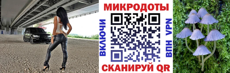 наркотики  Великий Устюг  Псилоцибиновые грибы мухоморы 