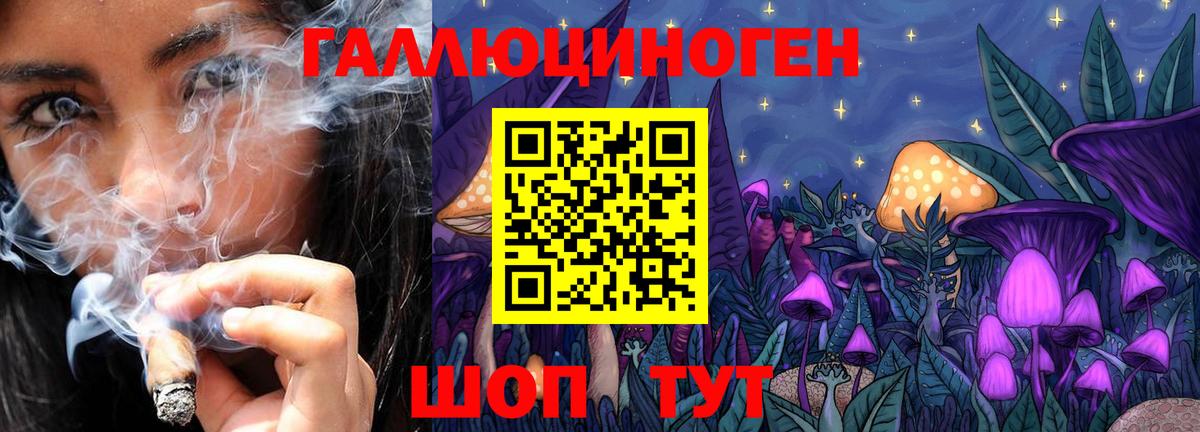 Галлюциногенные грибы Psilocybe Великий Устюг