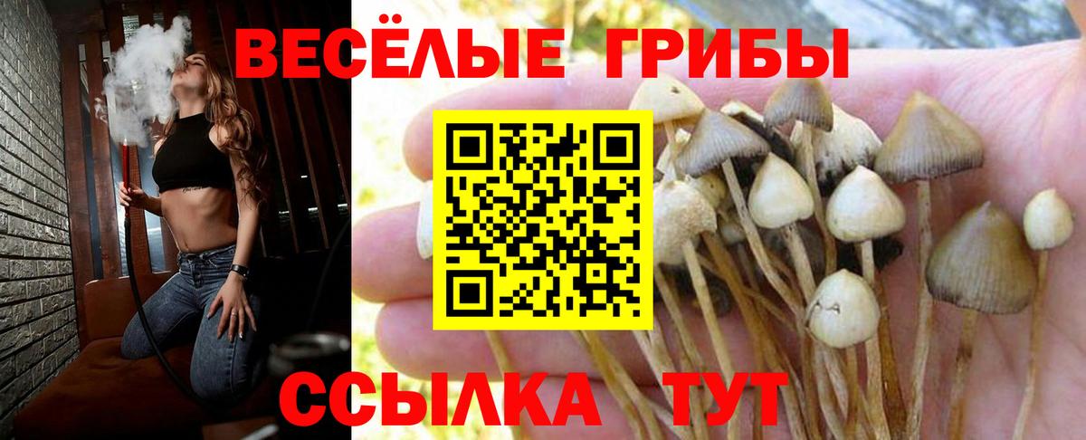 Великий Устюг  Псилоцибиновые грибы Magic Shrooms  Вход с VPN 
