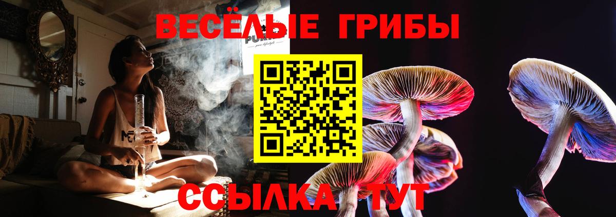 Галлюциногенные грибы мицелий Великий Устюг