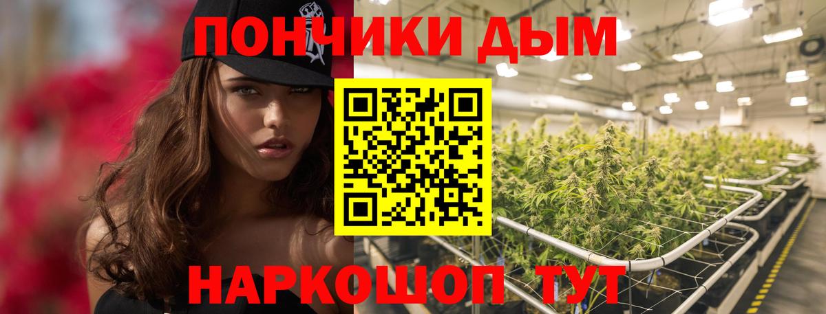 Бошки марихуана гибрид  Марихуана ГИДРОПОН  Канабис THC 21%  Великий Устюг 